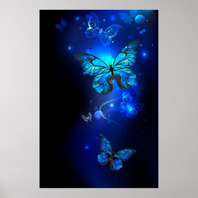 Morpho Butterfly i Mörkens bakgrund Poster (Framsidan)