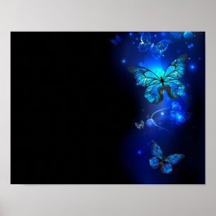 Morpho Butterfly i Mörkens bakgrund Poster