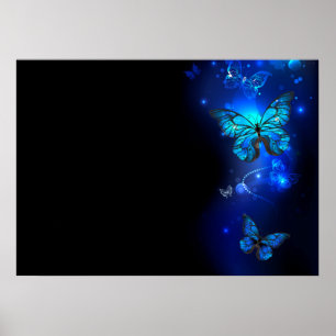 Morpho Butterfly i Mörkens bakgrund Poster