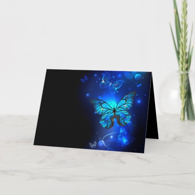 Morpho Butterfly i Mörkens bakgrund Program (Framsida)