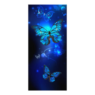 Morpho Butterfly i Mörkens bakgrund Reklamkort