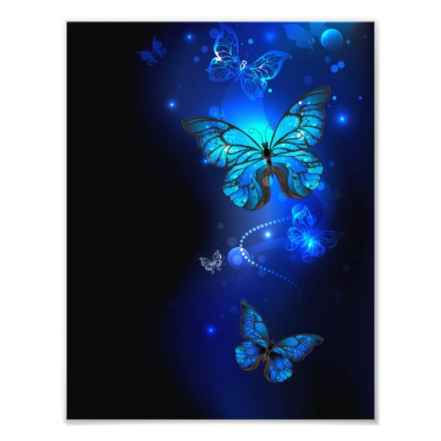 Morpho Fjäril i den mörka Bakgrunden Fototryck (Framsidan)