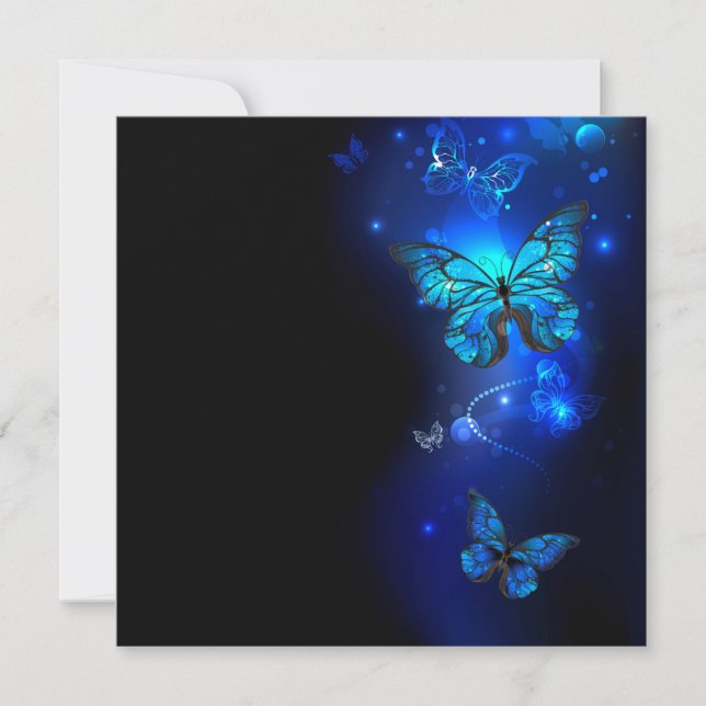 Morpho Fjäril i Mörk Bakgrund (Framsida)