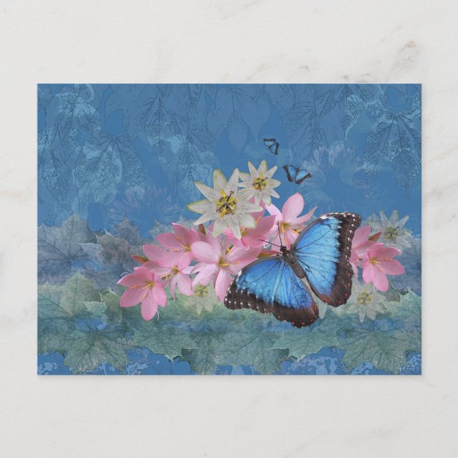 Morpho Magic Postkort Vykort (Framsida)