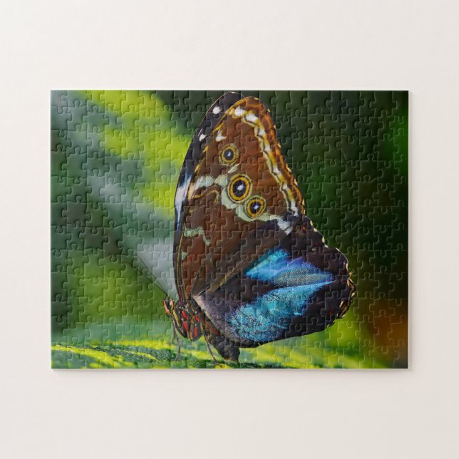 Morpho Peleides Fjäril. Pussel (Horisontell)