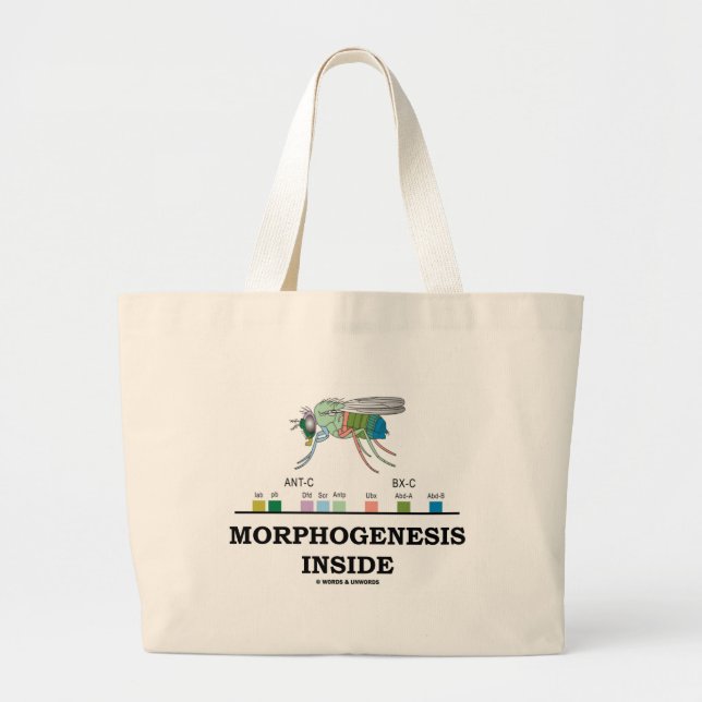 Morphogenesisinsida (klipska Drosophilagener för Jumbo Tygkasse (Framsidan)
