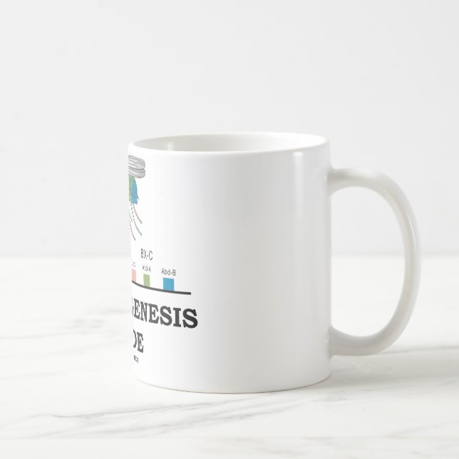 Morphogenesisinsida (klipska Drosophilagener för Kaffemugg (Höger)