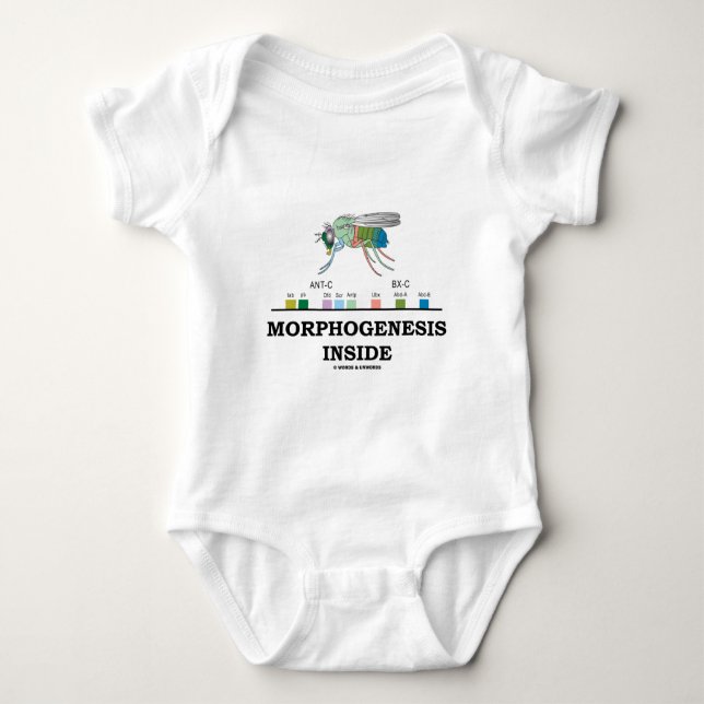 Morphogenesisinsida (klipska Drosophilagener för T Shirt (Framsida)