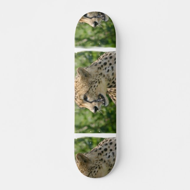 Morra Cheetahskateboarden Skateboard Bräda 20 Cm (Framsida)