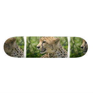 Morra Cheetahskateboarden Skateboard Bräda 20 Cm