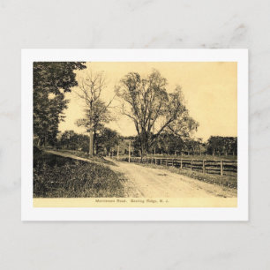 Morristown Rd., Basking Ridge, New Jersey Vintage Vykort
