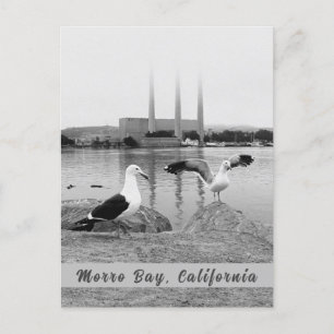 Morro Bay i Black & White Vykort