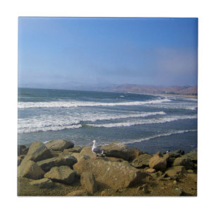 Morro Bay, Kalifornien Kakelplatta