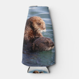 Morro Bay Otters kan kyla