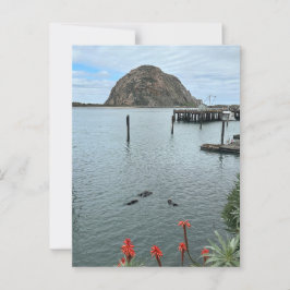 Morro Bay Sten med Otters Vykort