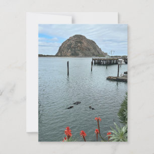 Morro Bay Sten med Otters Vykort
