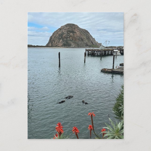 Morro Bay Sten med Otters Vykort (Framsida)