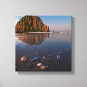 Morro Rock speglas i våt sand Canvastryck