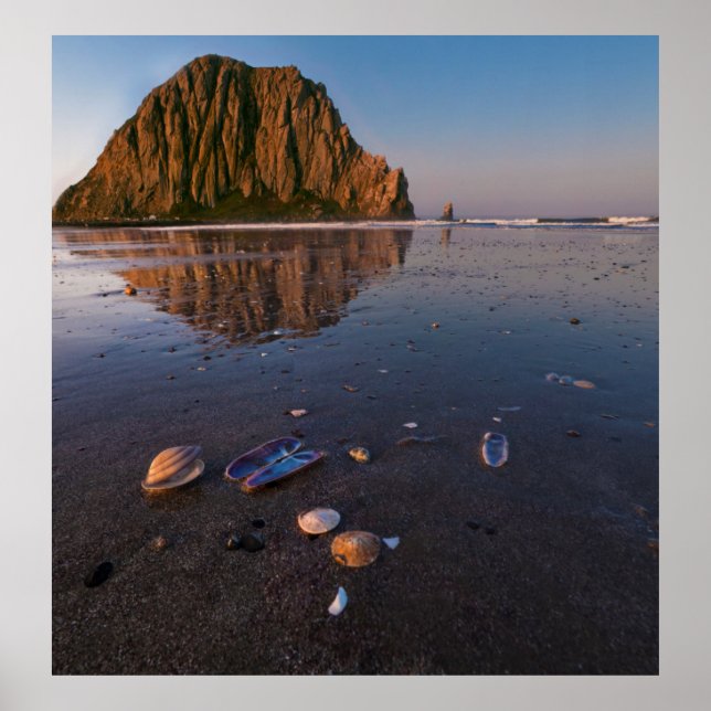 Morro Rock speglas i våt sand Poster (Framsidan)