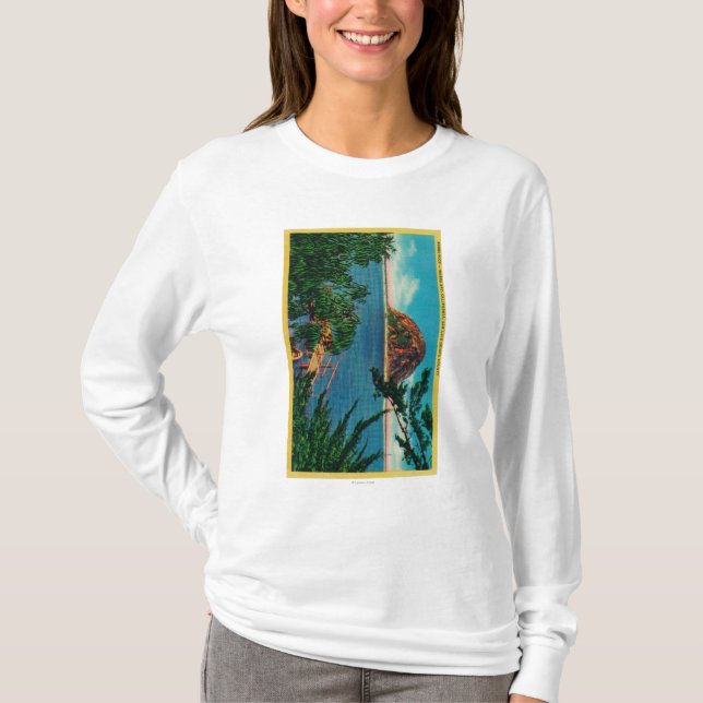 Morro sten i San Luis Obispo County Tee Shirt (Framsida)