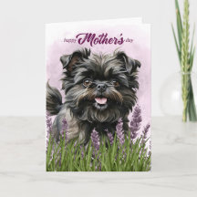 Mors dag Affenpinscher hund i lila