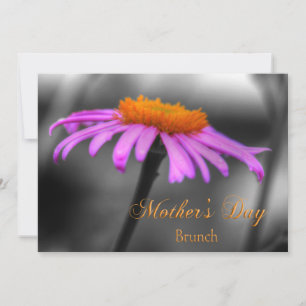 Mors dag Brunch Lila och Orange Coneflower Kort
