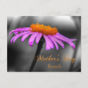 Mors dag Brunch Lila och Orange Coneflower Vykort