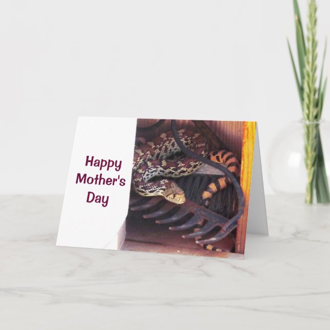 Mors dag - Bull Snake Kort (Framsida)