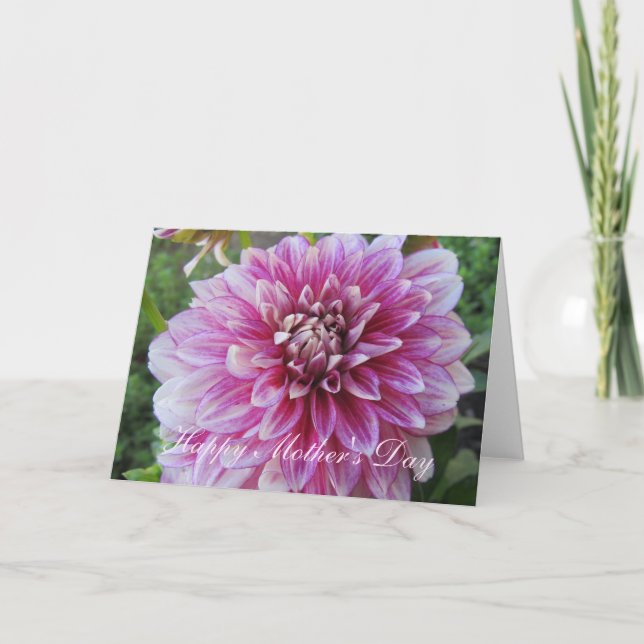 Mors dag Card—Rosa Dahlia Kort (Framsida)