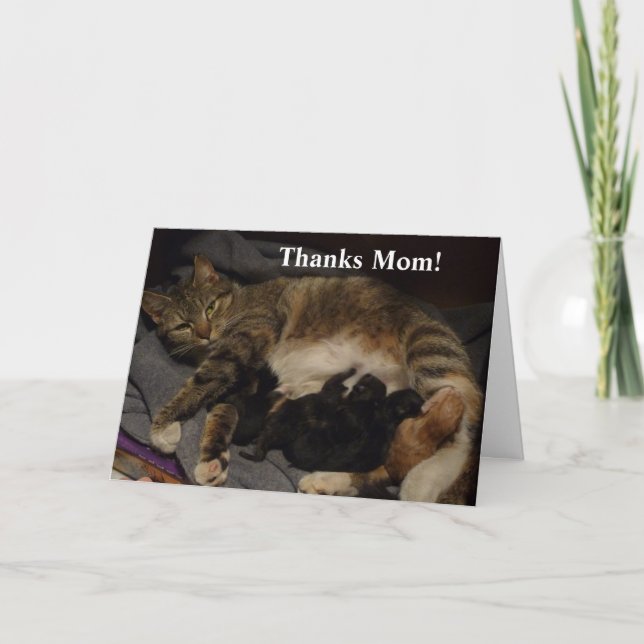 Mors dag Cat Litter Kort (Framsida)