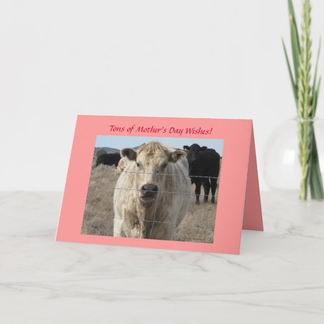 Mors dag - Cute White Cow - Ranch eller Farm Kort (Framsida)