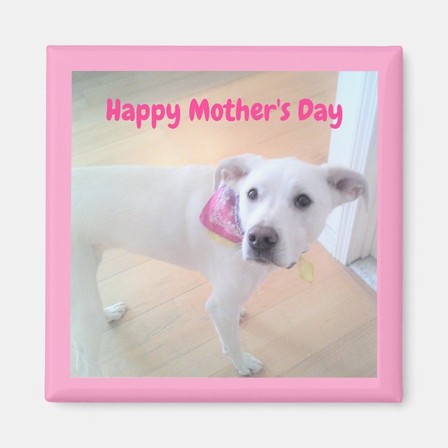 Mors dag Cute White Puppy Hund Rosa Magnet (Framsidan)