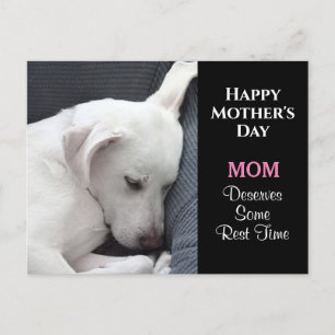 Mors dag Foto av Cute White Hund Sleeping Vykort