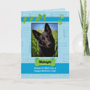 Mors dag-fotokort från Hund Blue Kort