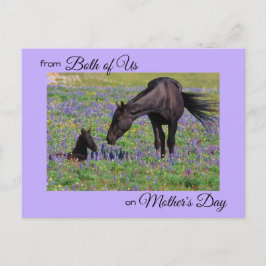 Mors dag från både Mare & Foal Photo Vykort