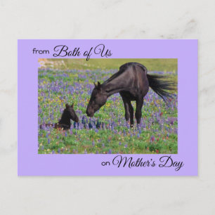 Mors dag från både Mare & Foal Photo Vykort
