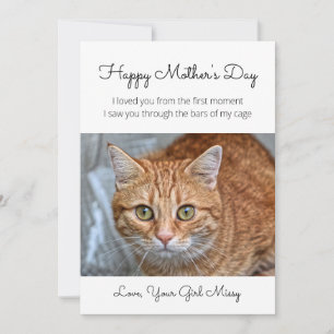 Mors dag från Rädding Cat Helgdag Card Julkort