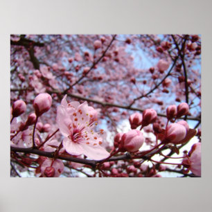 MORS DAG GIFTS Vår Blommars Art-utskrifter Poster