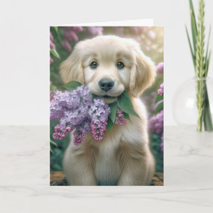 Mors dag Golden Retriever-valp med lilacar Kort