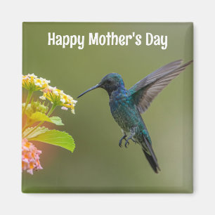 Mors dag Hummingbird Magnet