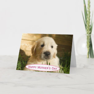 Mors dag Hundmamma Världens Bästa Någonsin Husdjur Kort
