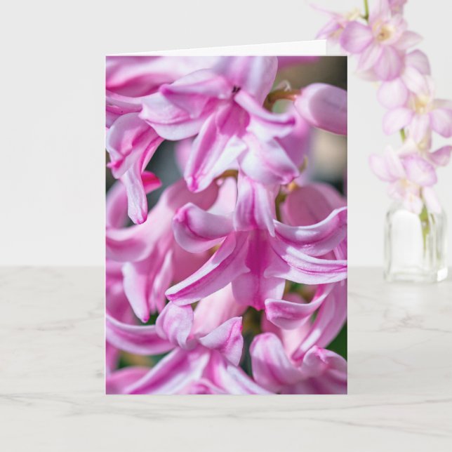 Mors dag Hyacintblomning med anpassningsbar dikt Kort (Orkide)
