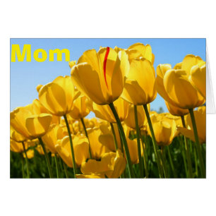MORS DAG KÄRLEK OCH BUNCHER AV TULIPS ÄVEN HÄLSNINGSKORT
