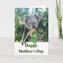 Mors dag Koala Eucalyptus träd Foto Helgkort