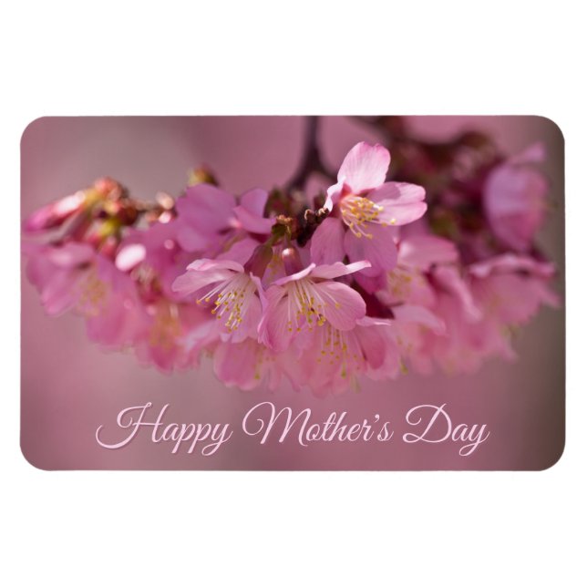 Mors dag körsbärsblommor Ömtåligt rosa bukett Magnet (Horisontell)