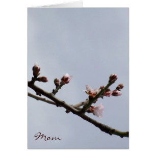 Mors dag-kort för blommar hälsningskort