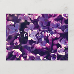 Mors dag-kort, gåva, foto-lilac-blomma, helg vykort