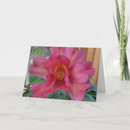 Mors dag kort Julia Rose Peony