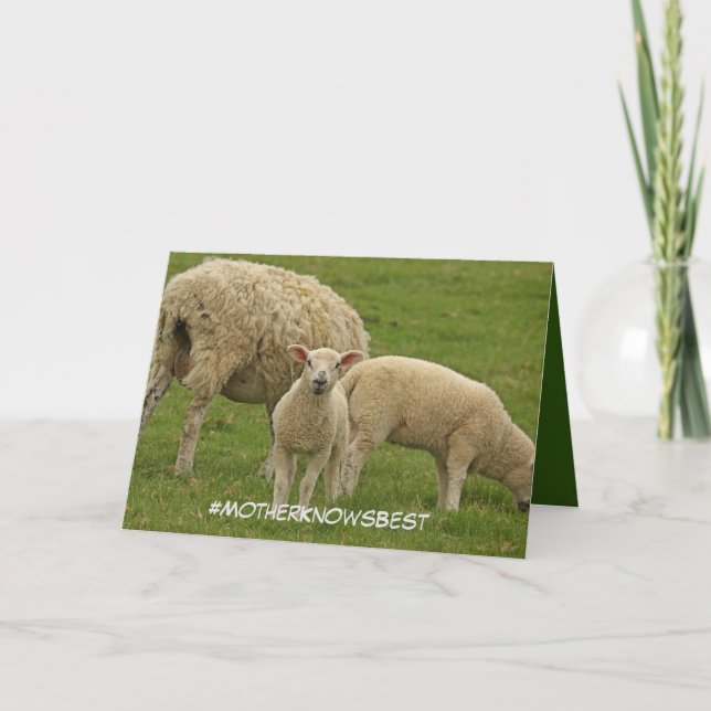 Mors dag-kort med lamm kort (Framsida)
