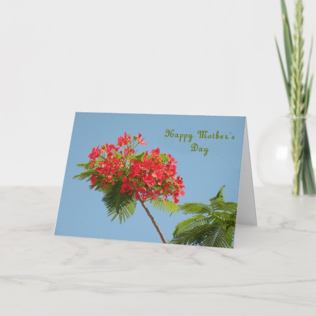Mors dag-kort med Royal Poinciana Flower Kort (Framsida)